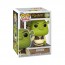 Shrek - Shrek Pop! Vinyl