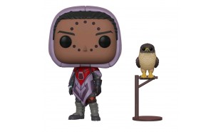 Destiny - Hawthorne with Hawk Pop! Vinyl