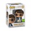 Harry Potter - Harry Potter (Patronus) SDCC 2024 Pop! Vinyl
